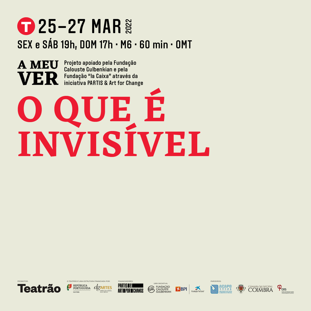 Imagem de divulgação do espetáculo “O que é invisível”, do projeto A Meu Ver. A imagem inclui uma figura abstrata, informações sobre as datas e horários do espetáculo e os logotipos das diversas entidades parceiras neste projeto.
