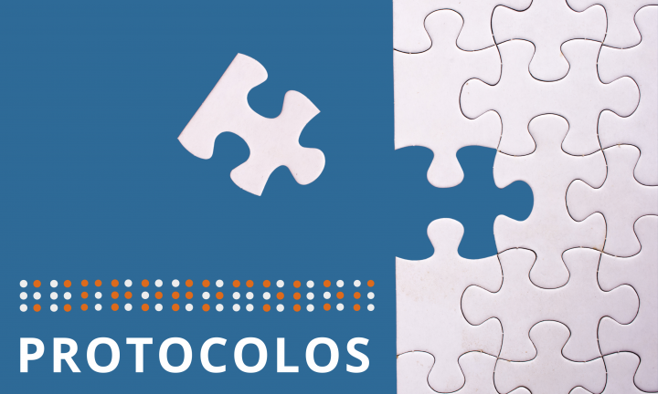 Sobre fundo azul é possível ver-se, à direita, um puzzle e do lado esquerdo uma peça solta que completa o puzzle. Por baixo, em caracteres Braille e a tinta, a palavra PROTOCOLOS.