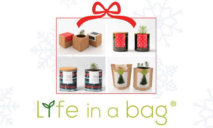 Quatro fotografias do Pinheiro de Natal nos diversos formatos disponíveis, no interior de um embrulho. Por baixo, o logotipo da Life in a bag.