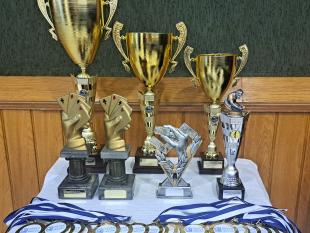 Três taças, quatro troféus e diversas medalhas em cima de uma mesa.