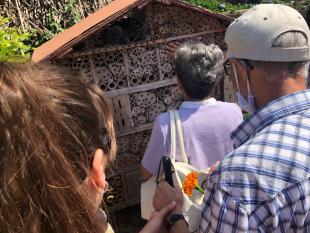 Associados em frente de um hotel para insectos