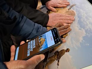 Mãos de um dos visitantes a tatear a impressão em relevo da fotografia "Guerra de Rinocerontes". Ao seu lado, outro visitante segura o telemóvel onde está a ouvir a audiodescrição da mesma fotografia.