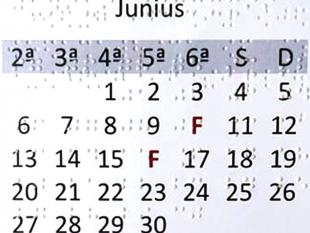 Imagem ilustrativa de um dos formatos de apresentação dos dias do calendário na versão completa.
