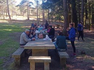 Participantes durante o almoço piquenique no Parque de Lazer da Lameira