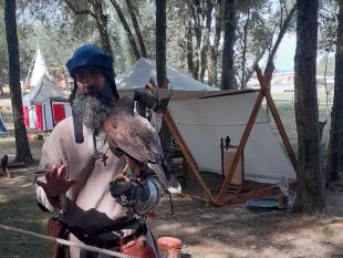 Homem trajado com roupas da época medieval, a demonstrar ao grupo uma águia real.