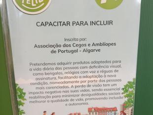 Causa A - "Capacitar para Incluir"
