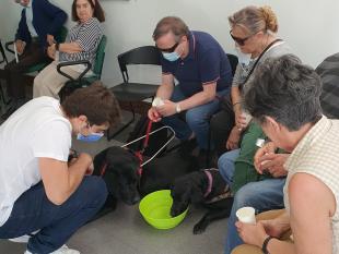 Fotografia onde é possível ver-se vários Associados durante a pausa para o café. Na fotografia é possível ver-se também os dois cães-guia presentes no evento a beber água, sob o olhar atento de um dos jovens da AXM.